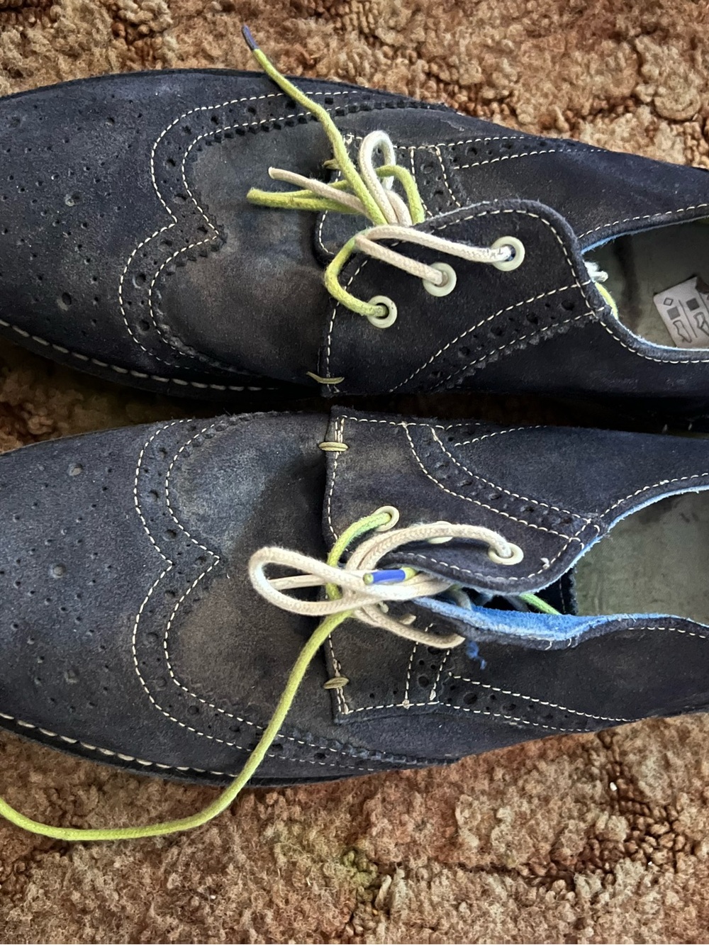 Ted Baker Navy Suede Wingtip Oxfords with Green and Off-White Laces